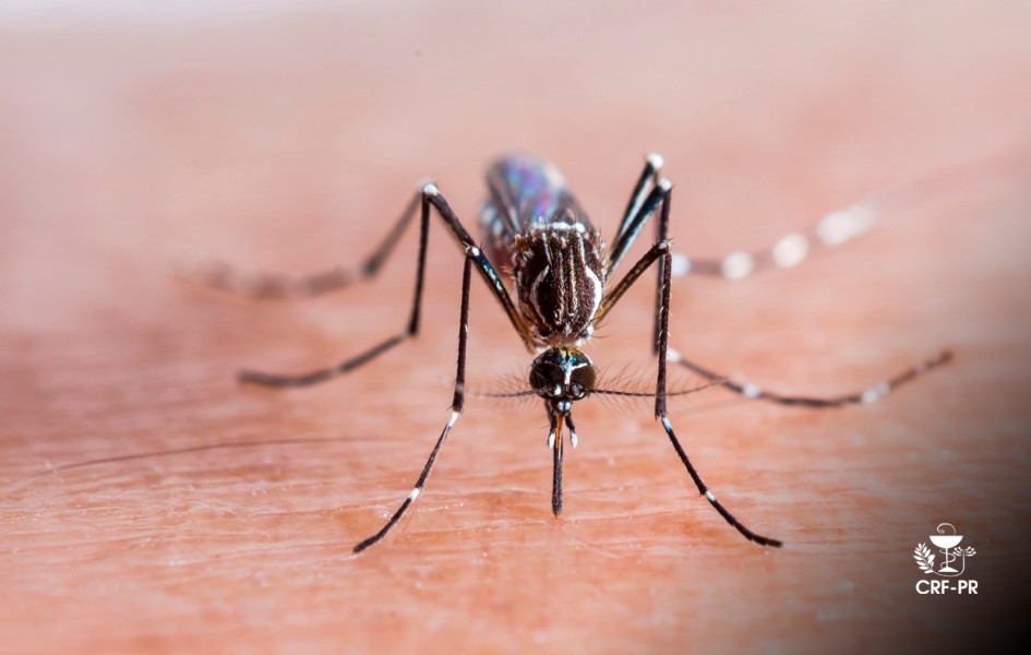 parana-inaugura-maior-biofabrica-de-mosquitos-aedes-aegypti-com-wolbachia-do-mundo